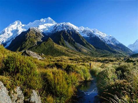 9 Amazing Attractions In New Zealand Not To Be Missed