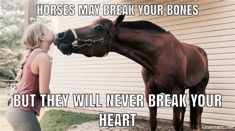 Funny Horse Pictures And Quotes - ShortQuotes.cc