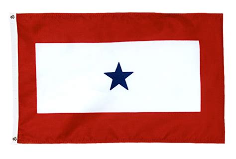 Blue Star Flag - The Flag Shop