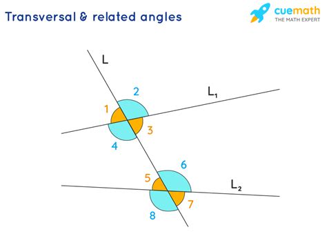 Angles In Transversal Worksheet Answers - Onlineworksheet.my.id