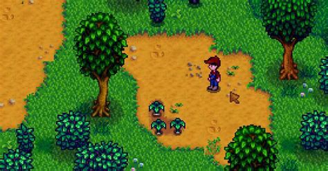 Guide To Finding Leeks In Stardew Valley: It's No Leek In The Park ...