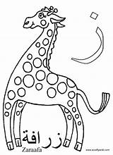 A Crafty Arab Arabic Alphabet coloring PagesZayn Is For Zaraafa  sketch template