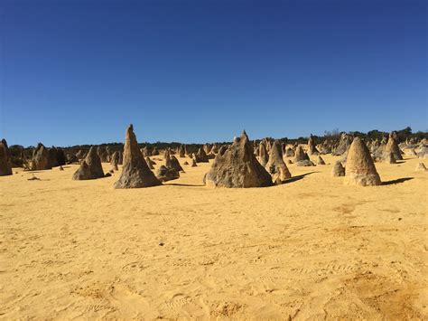 10 Remarkable Facts about The Pinnacles Desert - Discover Walks Blog