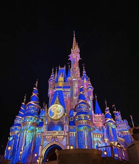 disney castle | Disney world tips and tricks, Disney world parks ...