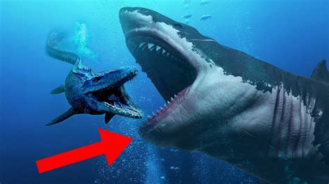 CRAZIEST Facts About The MEGALODON Shark! - YouTube