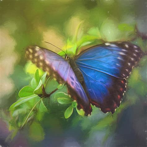 Blue and Purple Butterfly Painting by HD Lofton - Fine Art America