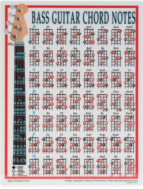 Walrus Productions Mini Laminated Chart, Bass | Sweetwater