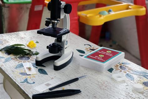 5 Easy Microscope Experiments for Kids — The Coffee Mom