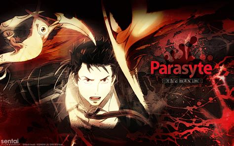 Parasyte The Maxim HD Wallpaper - WallpaperSafari