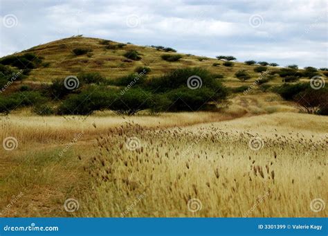 Country road stock image. Image of contryside, west, coast - 3301399