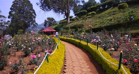 Ooty Rose Garden, Entry Fee, Timings, Entry Ticket Cost, Price - Ooty ...