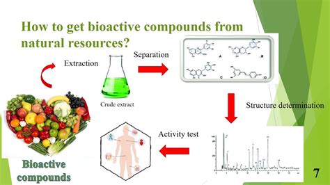 Bioactive compound by Chompoonuch Tancharoen - YouTube