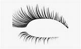 Eyes With Lashes Clip Art Vector Sketch Coloring Page sketch template