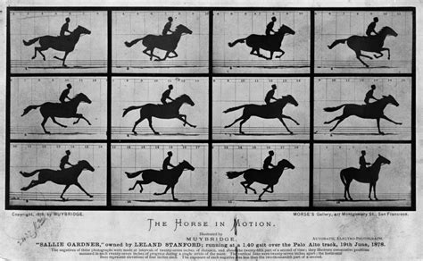 Stop motion animation frame rates explained – HUE