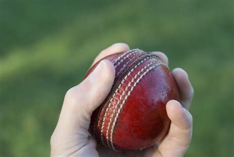 Cricket ball weight (kg, lb and more): All rules and specs