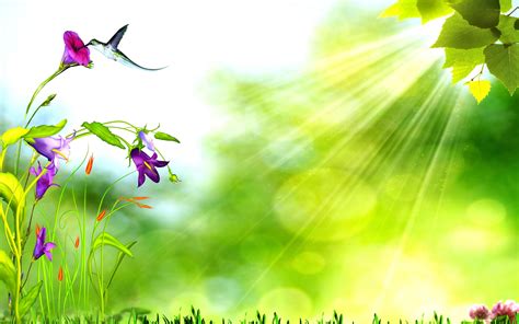 Free photo: Nature background - Green, Leaves, Light - Free Download ...