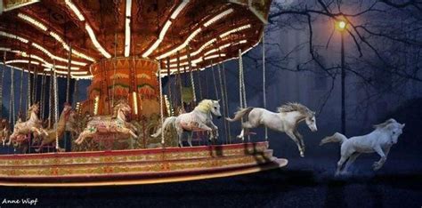 wonderful | Night circus, Horses, Carousel horses