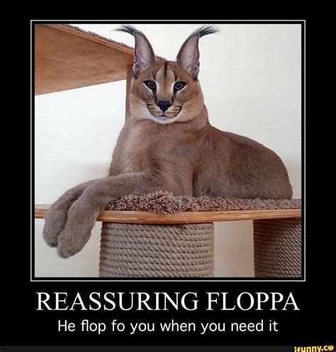 REASSURING FLOPPA He flop fo you when you need it - )