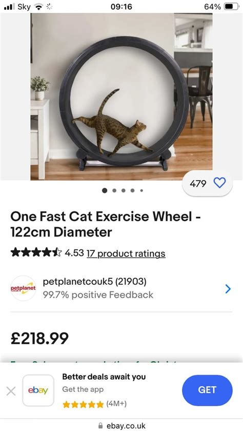 One fast cat wheel | in Stirling | Gumtree