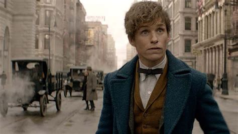 How Fantastic Beasts' Newt Scamander Represents a Rare Kind of Movie Hero