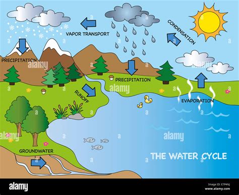 illustration of funny water cycle Stock Photo - Alamy