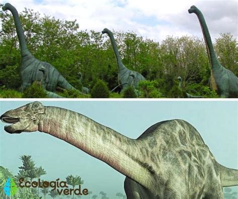 DINOSAURIOS HERBÍVOROS: Nombres, Tipos, Características e Imágenes