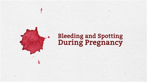 10 weeks pregnant and bleeding when i wipe