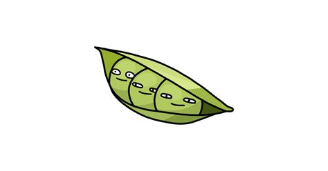 Pea Pod Drawing | Free download on ClipArtMag