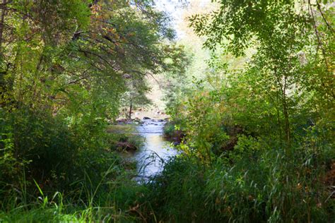 Featured Venue: Creekside Inn at Sedona - Casey Green Weddings