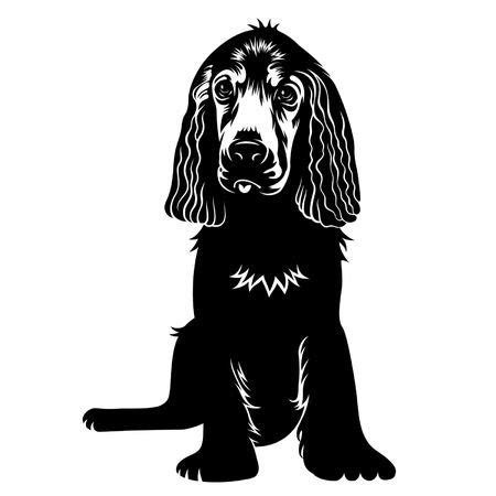 cocker spaniel silhouette clip art 20 free Cliparts | Download images on Clipground 2024