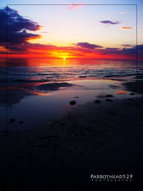 Siesta Key Sunset by parrothead529 on DeviantArt