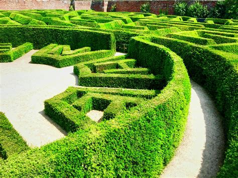 Hedge Maze #1 Photograph by Ronald Watkins - Pixels