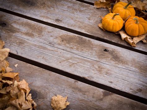 Fall harvest background stock image. Image of planks - 27035011