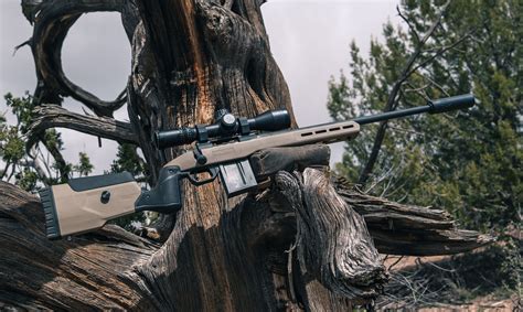 Best 6.5 Creedmoor Rifles | Outdoor Life