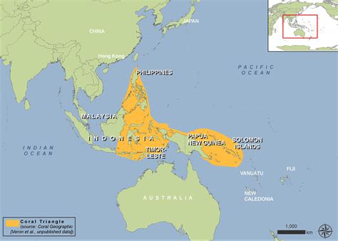 Leaders of Coral Triangle countries declare action to protect marine ...