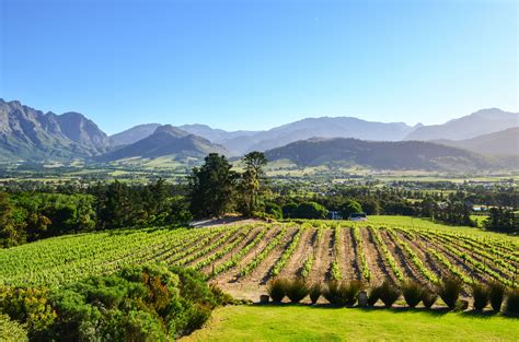 South Africa’s Cape Winelands Will Take Your Breath Away - Ashley Renne