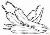 Chili Peppers coloring Page  Free Printable Coloring Pages sketch template