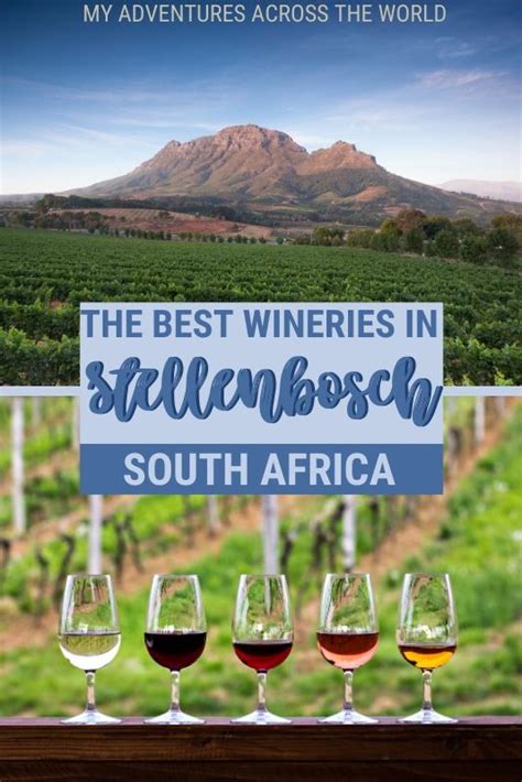 7 Best Estates To Do Wine Tasting In Stellenbosch | South africa travel ...