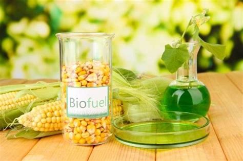 Biofuel: Types, Uses & Examples – StudiousGuy