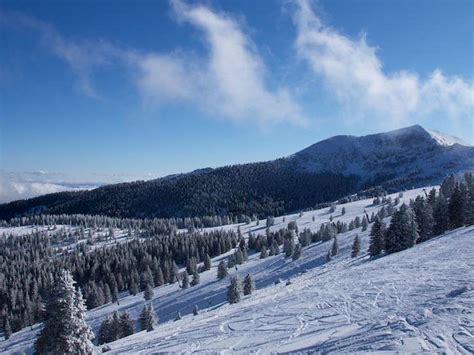 4 Best Ski Resorts in New Mexico, 2023/24