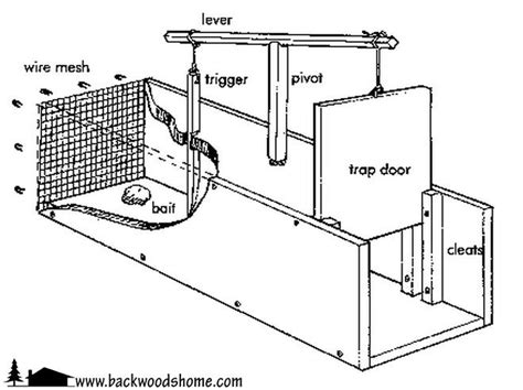 Make a Sure-Fire Live Trap - Backwoods Home Magazine | Animal traps, Cat traps, Rabbit traps