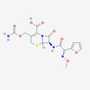 Cefuroxime: Uses, Dosage, Side Effects and More | MIMS Indonesia