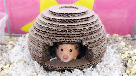 Hamster House Diy