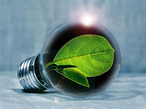 Green Power: Best Energy Sources for Your Home » The Money Pit