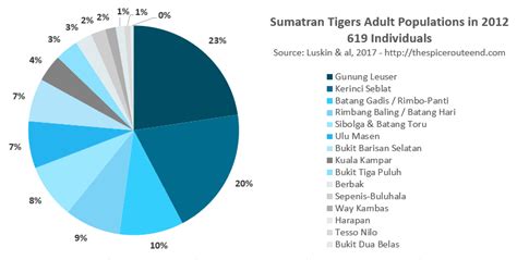 The Sumatran Tiger In 2020