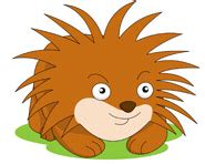 Porcupine clipart 20 free Cliparts | Download images on Clipground 2024