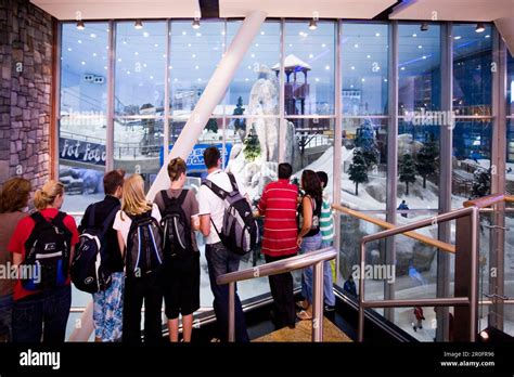 Dubai Mall of Emirates Ski dubai, Indoor skiing Stock Photo - Alamy