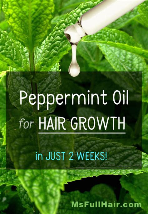 How to Use Peppermint Oil for Hair Growth – Visible Results in JUST 2 ...