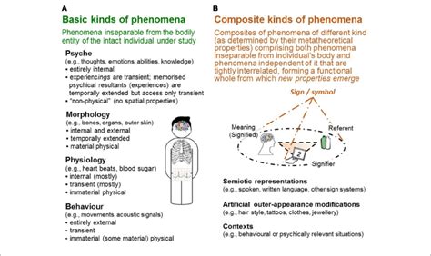 | Kinds of phenomena. In the TPS-Paradigm, various kinds of phenomena... | Download Scientific ...