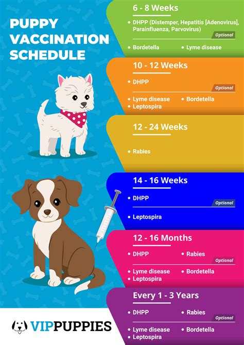 Puppy Shot Schedule Printable